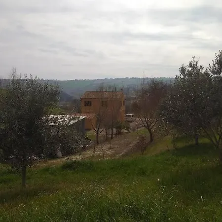 Casale Del Cavallo Brado *