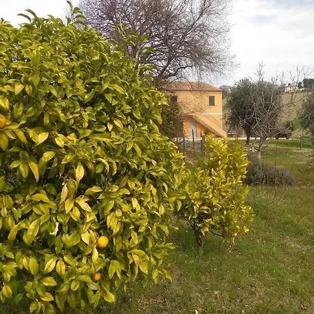 Casale Del Cavallo Brado * Montelupone