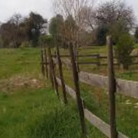 Casale Del Cavallo Brado 木屋 Montelupone